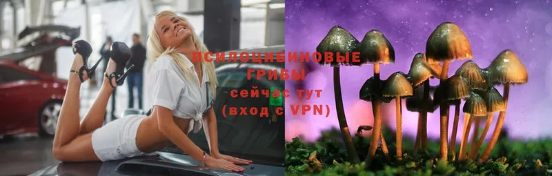 Галлюциногенные грибы Cubensis  Сафоново 